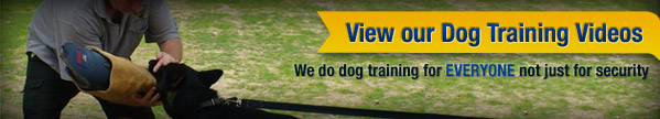 View our Dog Training Perth Videos